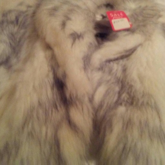 Jacket - Picture 2 of 2